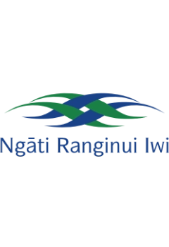Responsive, Tauranga digital design agency. We are proud to work with Ngāti Ranginui Iwi