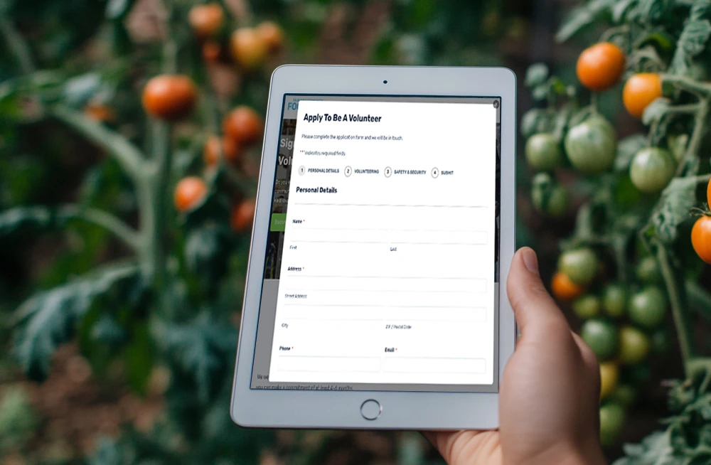 Responsive, Tauranga digital design agency. Client project  - Tauranga Community Foodbank, Website development, web hosting, Tauranga Community Foodbank - apply to volunteer form on a tablet