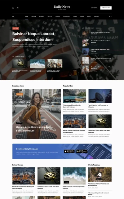 Daily News starter theme