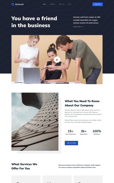 BizConsult starter theme