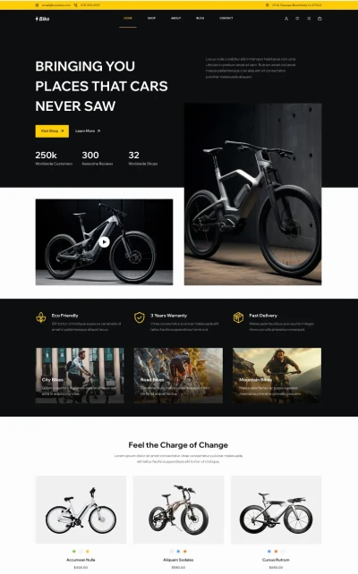 E-Bike starter theme