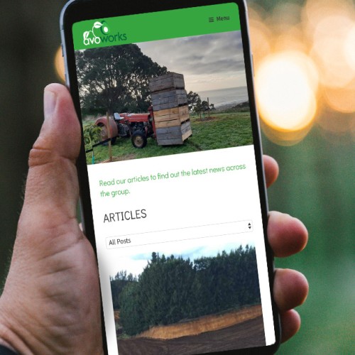 Responsive, Tauranga digital design agency. Client project  - Avoworks, Website design & development, Web hosting